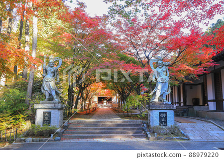 Nomiyama Kannonji Temple in Autumn 88979220