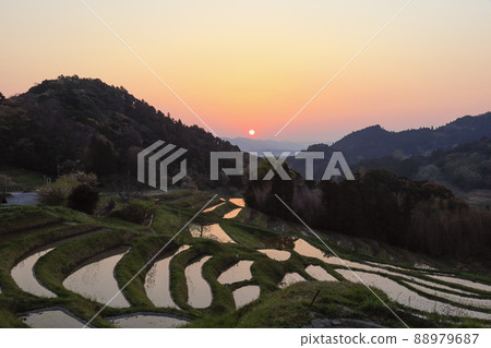 Sunrise of Oyama Senmaida, Chiba Prefecture 88979687