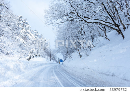 雪道/冰谷（近 Hiruzen Utsumi Pass） 88979782