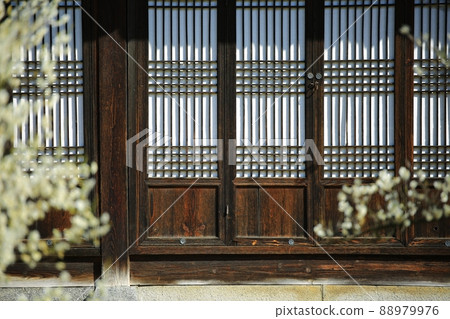 春天的風景,梅花的日子 春天的風景,梅花的日子 88979976