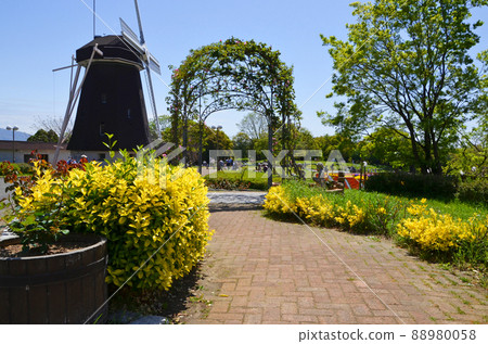 Osaka Tsurumi Ryokuchi Park in spring Osaka Tsurumi Ryokuchi Park in spring 88980058