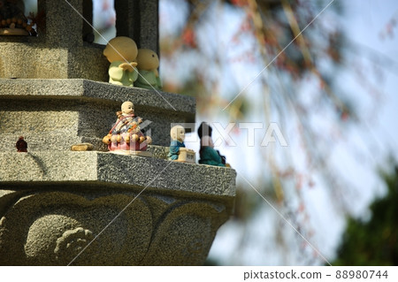 Spring scenery, Seokgat's Day Spring scenery, Seokgat's Day 88980744