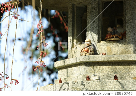 Spring scenery, Seokgat's Day 88980745