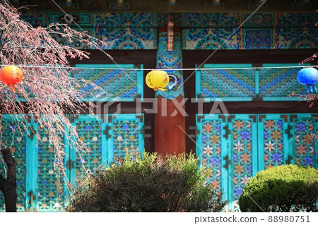 春天的風景，石甲節 88980751