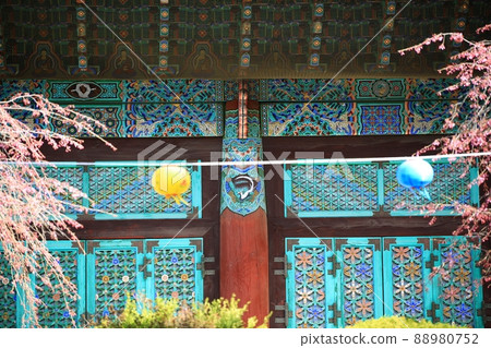 春天的風景，石甲節 88980752