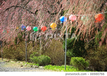 春天的風景,石甲節 春天的風景,石甲節 88980766