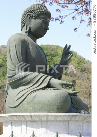 Spring scenery, Seokgat's Day Spring scenery, Seokgat's Day 88980770