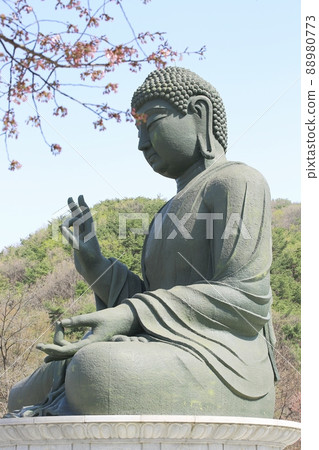 Spring scenery, Seokgat's Day Spring scenery, Seokgat's Day 88980773