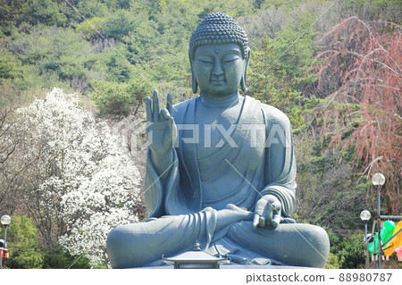 Spring scenery, Seokgat's Day Spring scenery, Seokgat's Day 88980787