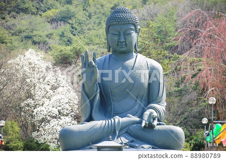 春天的風景,石甲節 春天的風景,石甲節 88980789