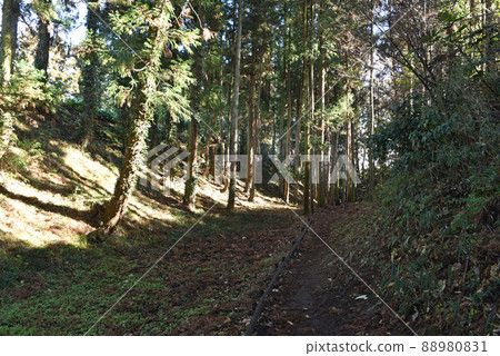 白井城跡本丸空堀 88980831