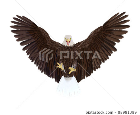 Hakutowashi☆Baekdu Eagle 88981389