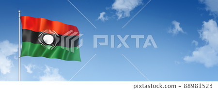 Malawi flag isolated on a blue sky. Horizontal banner 88981523