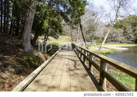 Nanatsu dong park 88981591