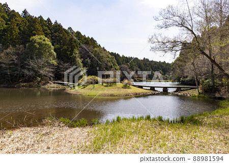 Nanatsu dong公園 88981594