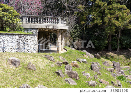 Nanatsu dong公園 88981598