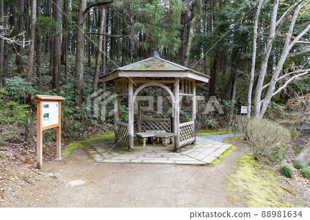 Nanatsu dong park 88981634