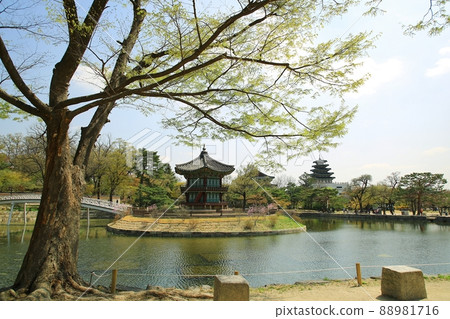 Gyeongbokgung Palace's Spring Day, World Heritage Site 88981716