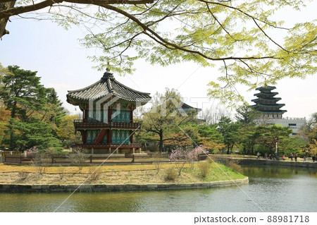 Gyeongbokgung Palace's Spring Day, World Heritage Site 88981718