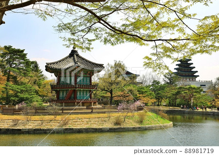 Gyeongbokgung Palace's Spring Day, World Heritage Site Gyeongbokgung Palace's Spring Day, World Heritage Site 88981719