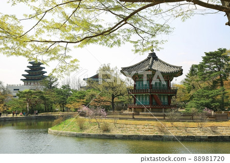 Gyeongbokgung Palace's Spring Day, World Heritage Site Gyeongbokgung Palace's Spring Day, World Heritage Site 88981720