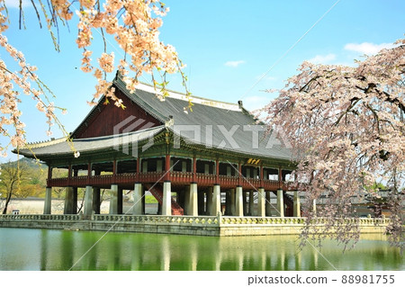 Gyeongbokgung Palace's Spring Day, World Heritage Site 88981755