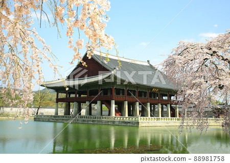 Gyeongbokgung Palace's Spring Day, World Heritage Site Gyeongbokgung Palace's Spring Day, World Heritage Site 88981758