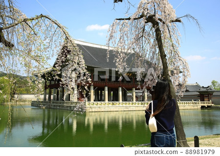 世界遺產景福宮泉 88981979