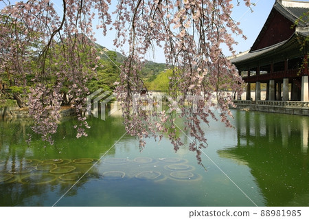 世界遺產景福宮泉 88981985