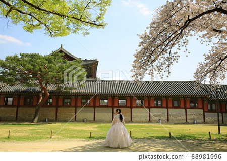 世界遺產景福宮泉 88981996