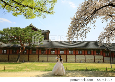 世界遺產景福宮泉 88981997