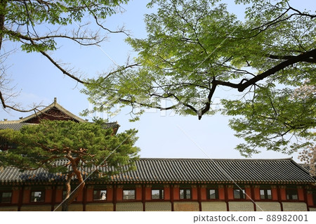 世界遺產景福宮泉 88982001