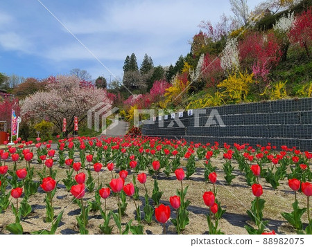福島新景點飯野“花屋敷公園” 88982075