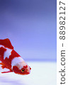 Goldfish with a heart pattern 88982127
