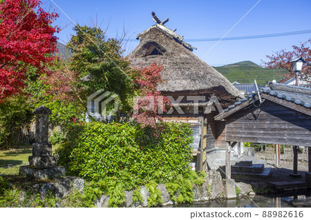 由布院下湯的紅葉 88982616