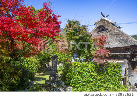 Yufuin Shimoyu's autumn leaves Yufuin Shimoyu's autumn leaves 88982621