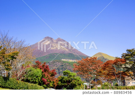 秋天湯布院 88983456