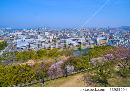 春天從香川縣丸龜市丸龜城二之丸看北側(大手町等) 春天從香川縣丸龜市丸龜城二之丸看北側(大手町等) 88983994