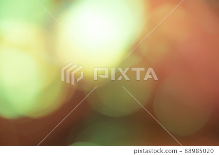 派對形象 88985020