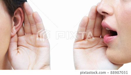 This is just between us. Cropped image of a one woman telling another woman a secret. 88987031