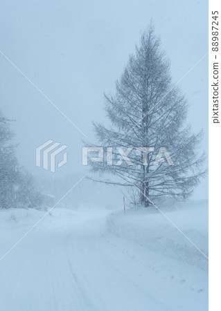 Snowy road (near Oyama Kagamiganaru) Snowy road (near Oyama Kagamiganaru) 88987245