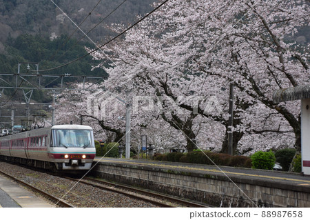 Sakura at Kinoyama Station on the Hakubi Line Sakura at Kinoyama Station on the Hakubi Line 88987658