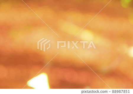 橙色派對形象 88987851