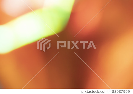 橙色派對形象 88987909