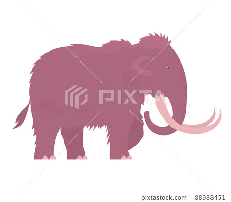 Ancient woolly mammoth isolated on white background 88988451