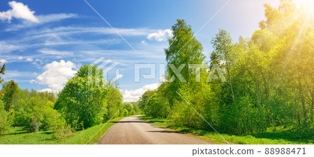 Panoramic view of the empty road in natural park. Panoramic view of the empty road in natural park. 88988471
