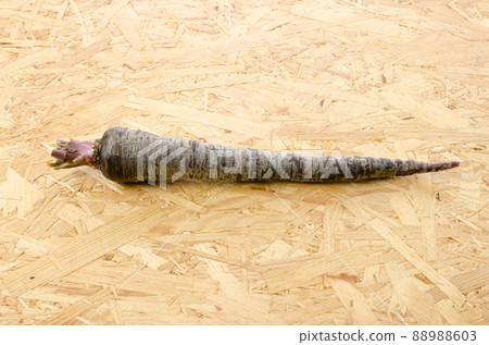 黑胡蘿蔔 88988603