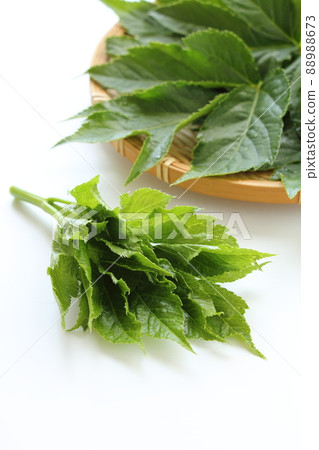 明天離開 88988673