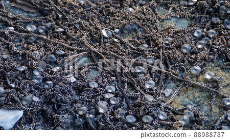 火災撲滅後的建築 88988787