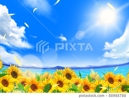 Early summer frame background material of sunflower field by the sea where beautiful sunflowers bloom under the sun in the blue sky with clouds Early summer frame background material of sunflower field by the sea where beautiful sunflowers bloom under the sun in the blue sky with clouds 88988788